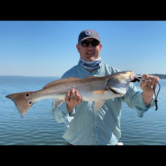 Meet your Posher, Andrew - Picture 1 of 1